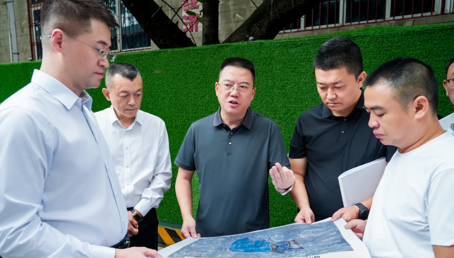 苟军调研东区城市更新工作