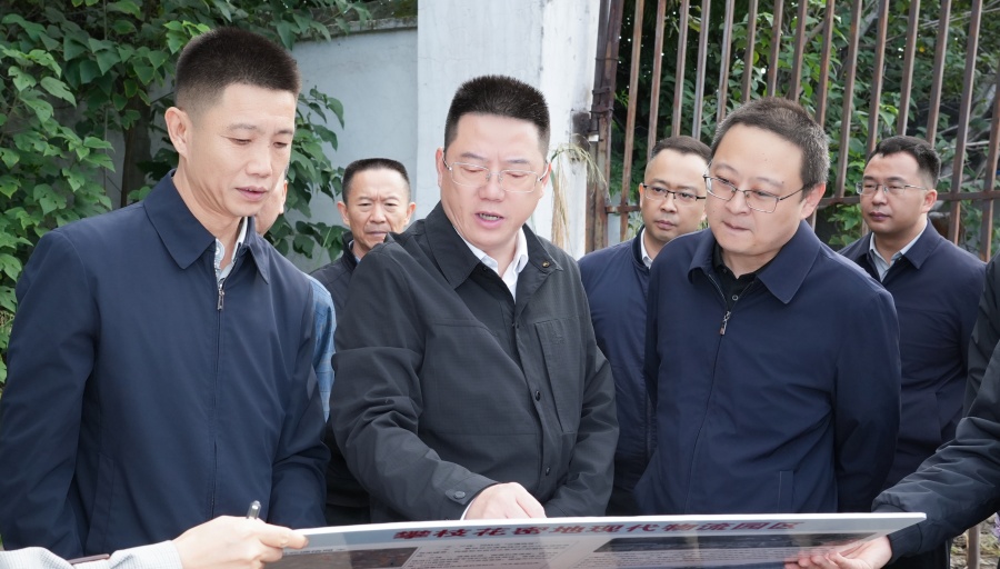 苟军调研密地现代物流园区项目进展情况