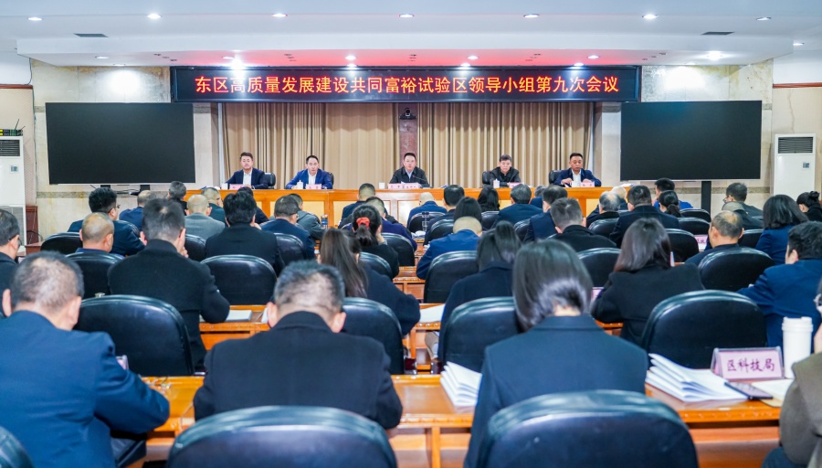 东区高质量发展建设共同富裕试验区领导小组第九次会议召开