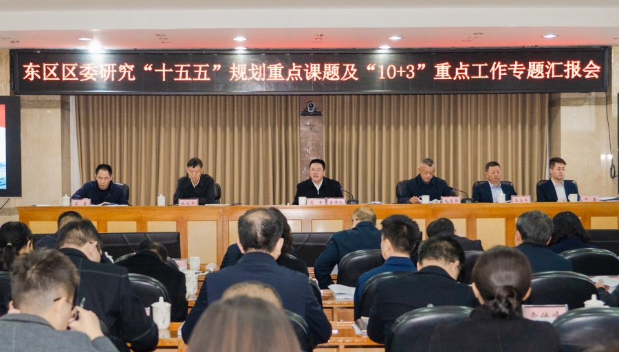 东区区委研究“十五五”规划重点课题及“10+3”重点工作专题汇报会召开