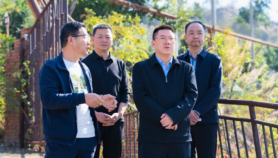 苟军督导森林草原防灭火、城乡环境综合整治等工作情况