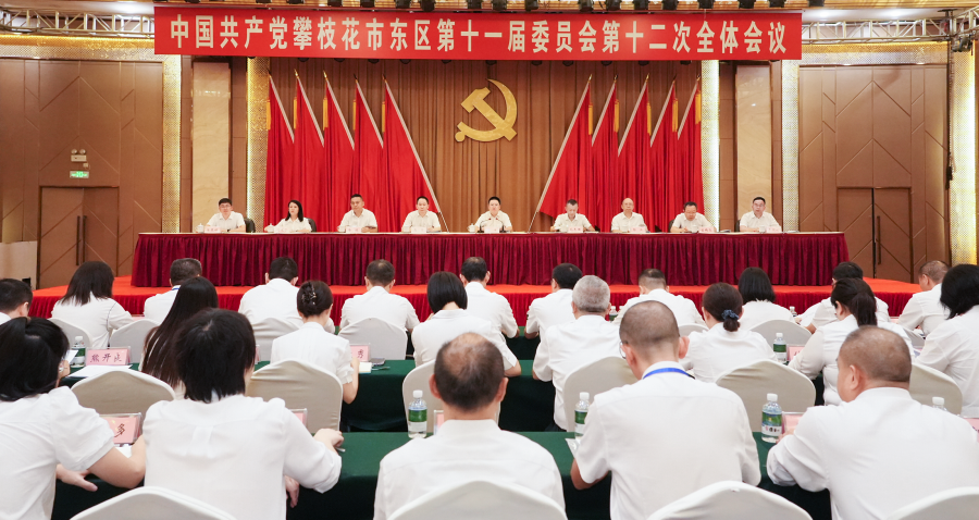 
                                    中国共产党攀枝花市东区第十一届委员会第十二次全体会议决议